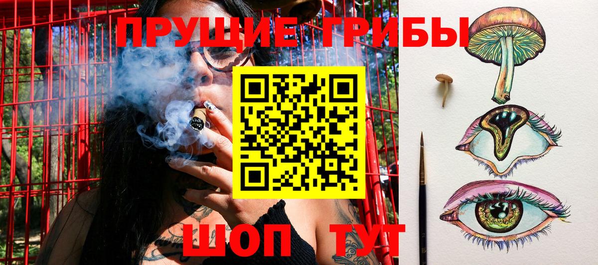 Псилоцибиновые грибы GOLDEN TEACHER Истра