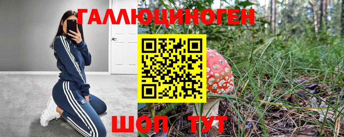 Истра  Галлюциногенные грибы ЛСД  Вход с VPN 